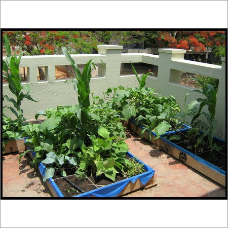 Terrace Kitchen Garden