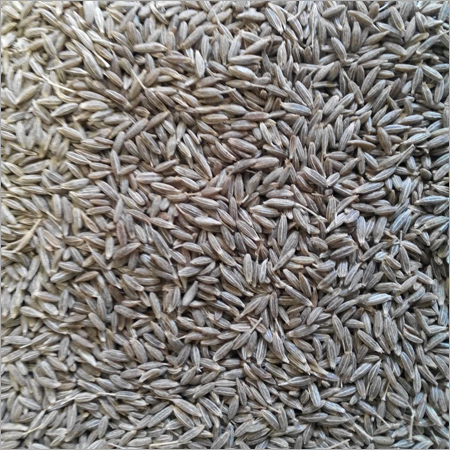 Cumin Seeds