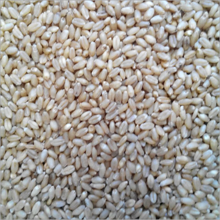 Whole Wheat