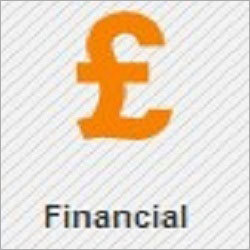 Financial Documents Translation