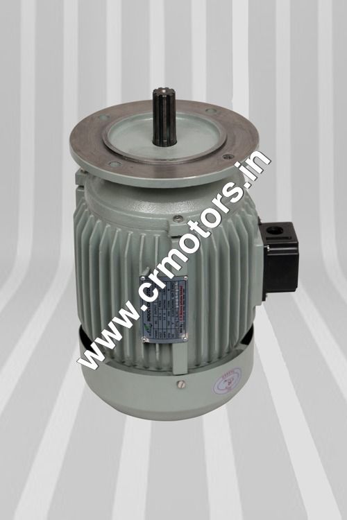 Cast Iron Three Phase Induction Aerator Motor