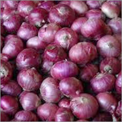 Farm Fresh Onions