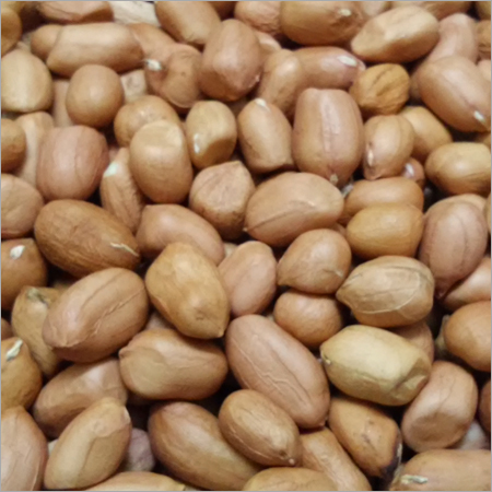 Ground Nut