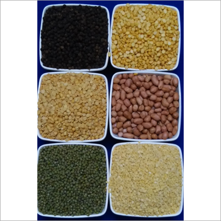 Indian Pulses