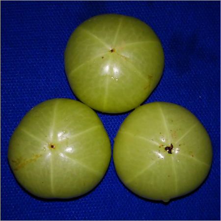 Indian Gooseberry