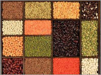 Grains