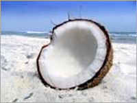 Raw Coconut