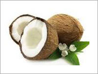 Fresh Indian Coconut