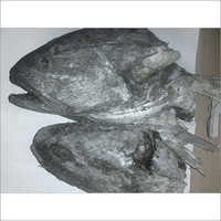 Ghol Fish Head - Frozen Grey, Variable Weight | Fresh, Nutritious, Tasty, Hygienic, Long Shelf Life