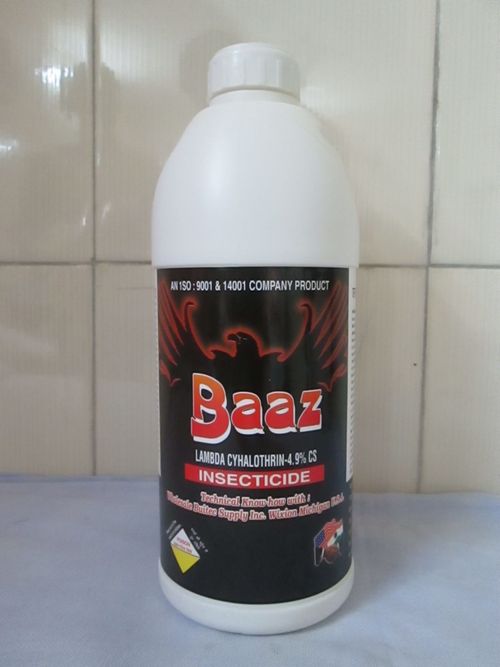 Baaz
