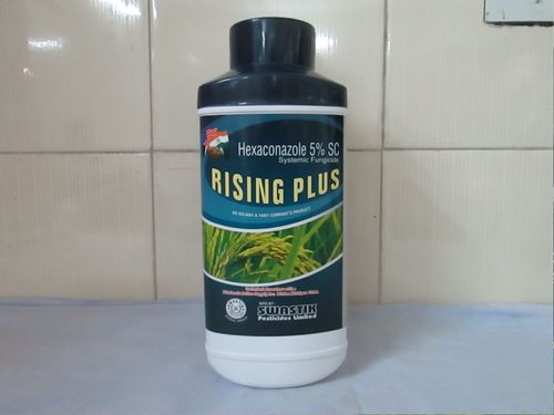 Rising Plus