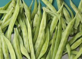Guar Gum