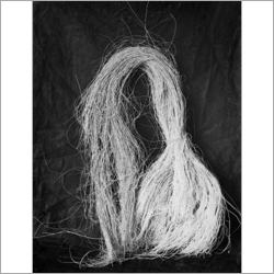 Sisal Fibres