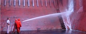 Citrus Auto Degreaser (C.A.D)