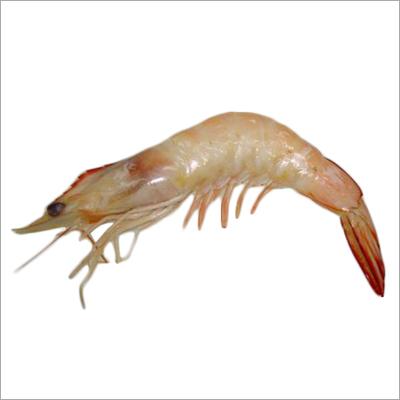 Fresh Banana Prawn