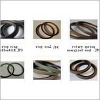 Ptfe Piston Seal