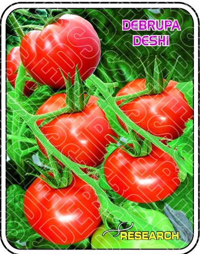 DEBRUPA DESHI