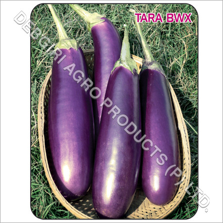 TARA BWX