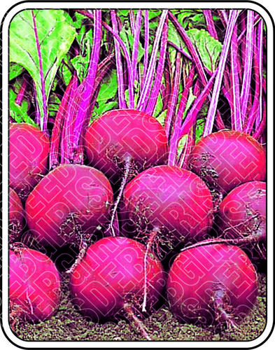 Rosy Seeds