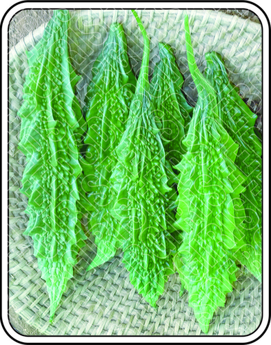 Beet Root Seeds