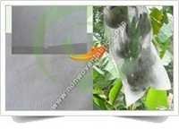 Non Woven Fruit Protection Cover