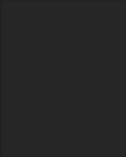 Absolute Black Granite
