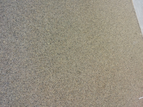 Kot Kasta Yellow Granite