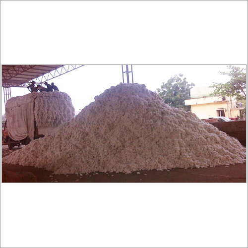 Raw Cotton