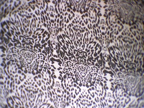 Polyester Chiffon Fabrics