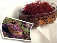 Pure Saffron Extract