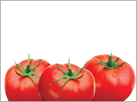 Tomato Pure
