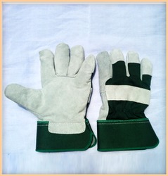 Cold Weather Gloves