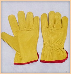Driving Gloves