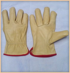 Winter Cycling Gloves