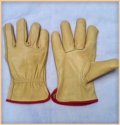 Riding Gloves