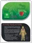 Nano card