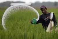 White Agro Organic Chemical