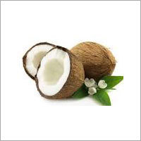 Fresh Indian Coconut