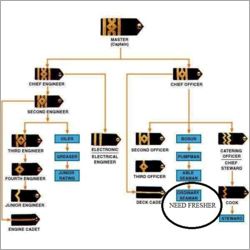 CDC Free for Fresher Seaman