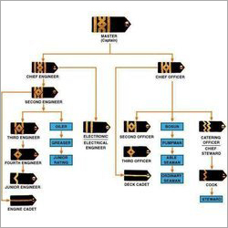 Merchant Navy Career