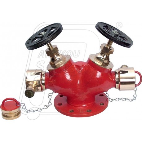 Fire Hydrant Valve
