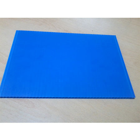 Plastic PP File Sheet