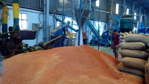 Chilli Powder Plant