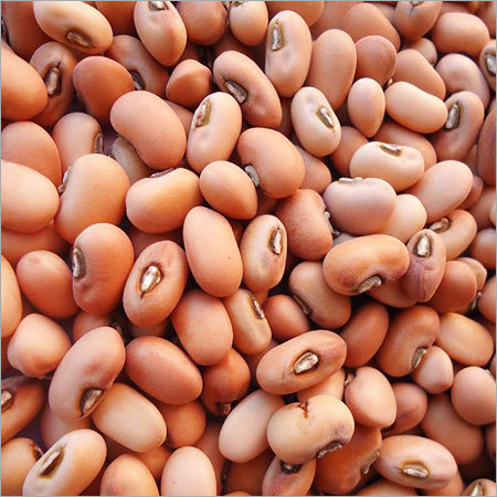 Fresh Cowpeas