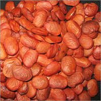 Karanja Seeds - Medium Oval Shape, Brown Color | High Effectiveness, 10% Moisture Content, Hygienic Bulk Packaging