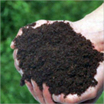 Organic Fertilizer