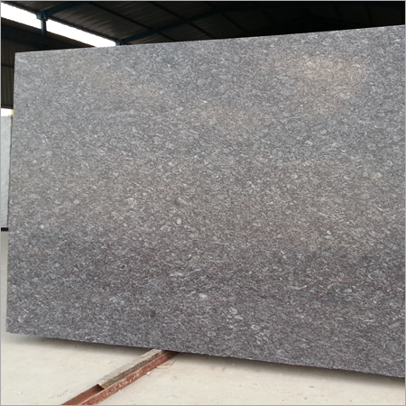 Piegon Grey