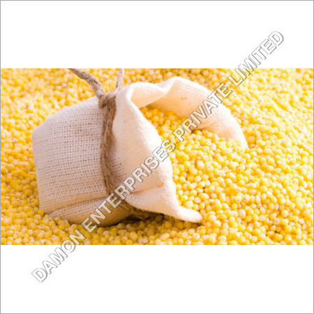 Yellow Maize