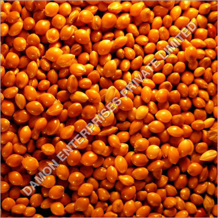 Red Millet