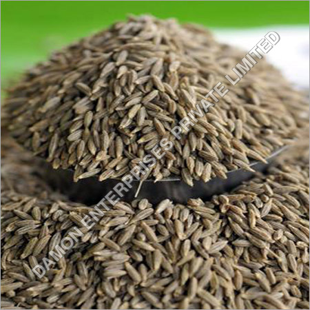 Cumin Seed